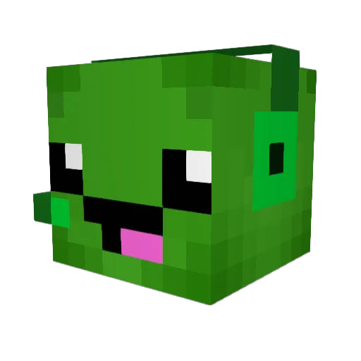 xXFuzzyTurtleXx Minecraft avatar head, 3D render