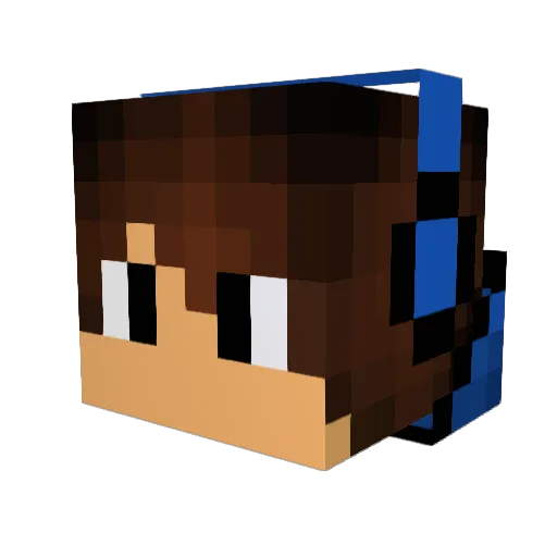 xXGallop_GamerXx Minecraft avatar head, 3D render