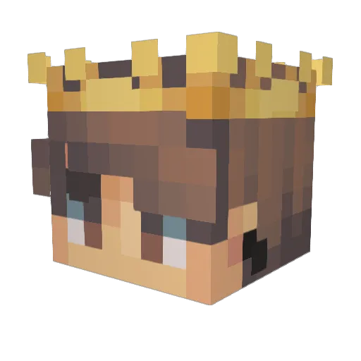 xXGamer009 Minecraft avatar head, 3D render