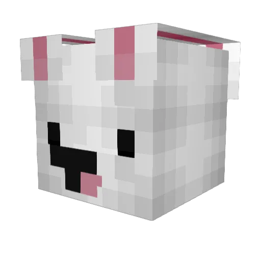 xXGamerBunnyXx Minecraft avatar head, 3D render