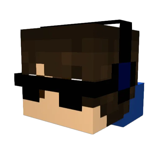 xXGamerCraftNBXx Minecraft avatar head, 3D render