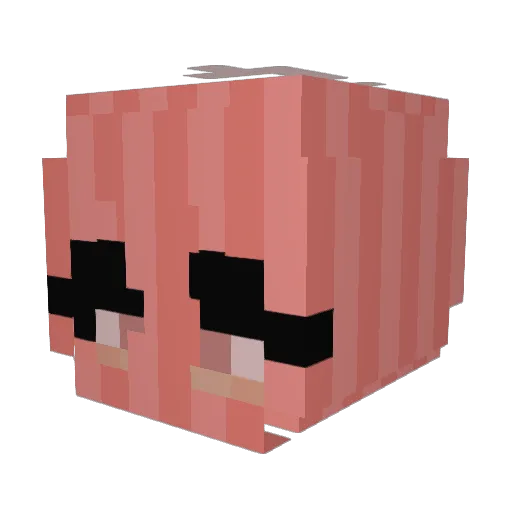 xXGraceXx Minecraft avatar head, 3D render