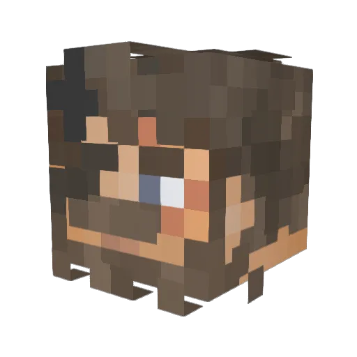 xXGuyAndPie123Xx Minecraft avatar head, 3D render