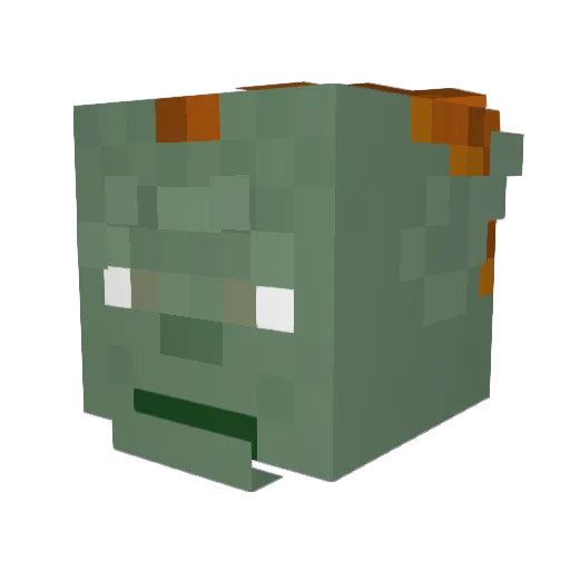 xXHardcoreDerpXx Minecraft avatar head, 3D render