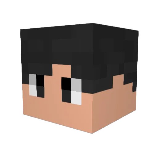 xXHenryXx9537 Minecraft avatar head, 3D render