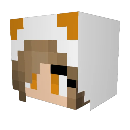 xXHisPandaGirlXx Minecraft avatar head, 3D render