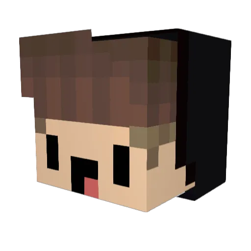 xXHundiXx Minecraft avatar head, 3D render