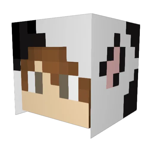 xXHydratedKeyXx Minecraft avatar head, 3D render
