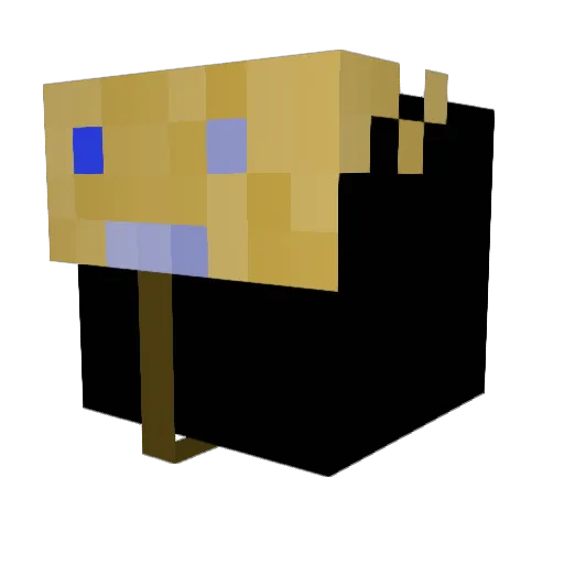 xXInfinitXx Minecraft avatar head, 3D render