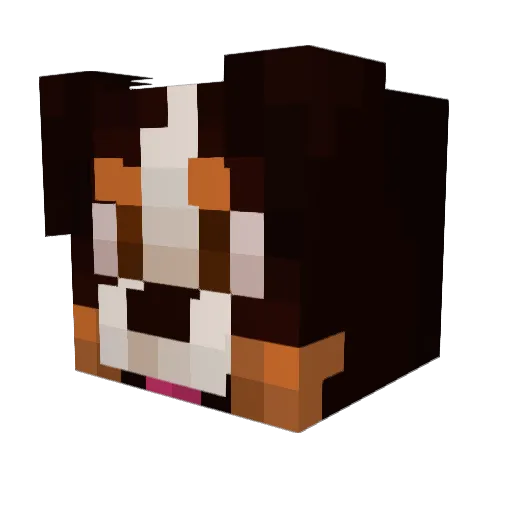 xXIrishButterXx Minecraft avatar head, 3D render