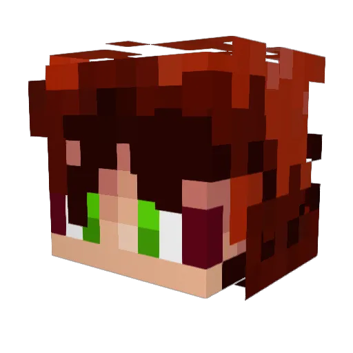 xXJ0rd1Xx Minecraft avatar head, 3D render