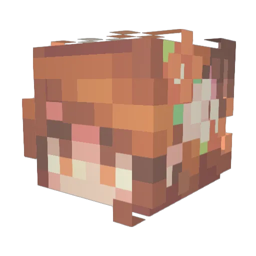 xXJanaXx Minecraft avatar head, 3D render