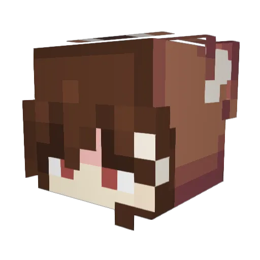 xXJayAlphaXx Minecraft avatar head, 3D render