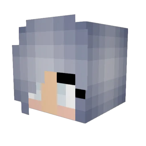 xXJesszillaXx Minecraft avatar head, 3D render