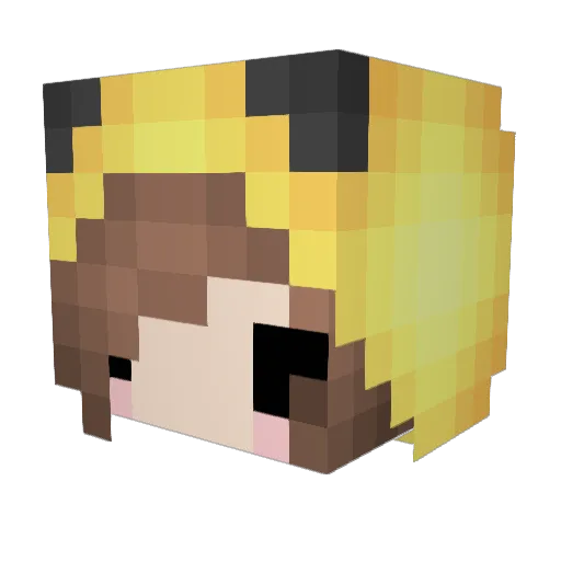xXJovan1873Xx Minecraft avatar head, 3D render