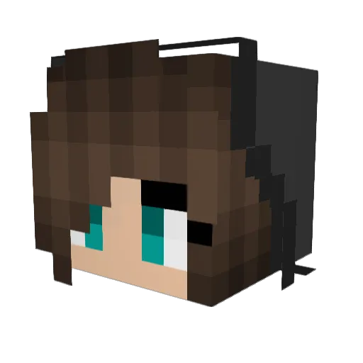 xXKatsinatorxXx Minecraft avatar head, 3D render