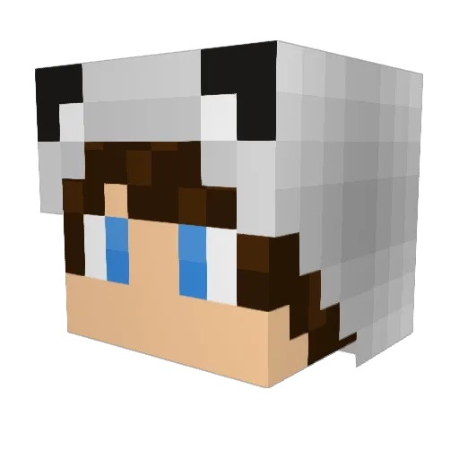 xXKillerBroXx Minecraft avatar head, 3D render