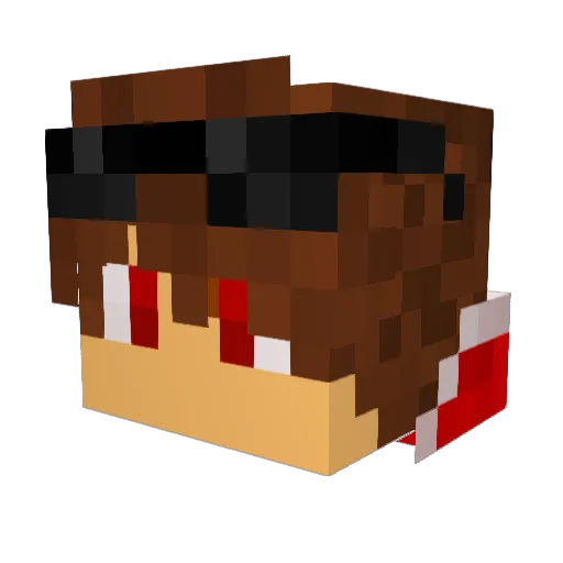 xXLazerTechXx Minecraft avatar head, 3D render