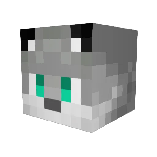 xXLerglesXx Minecraft avatar head, 3D render