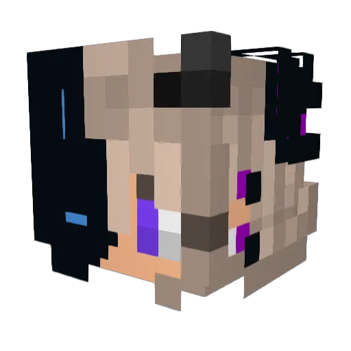 xXLiXx Minecraft avatar head, 3D render