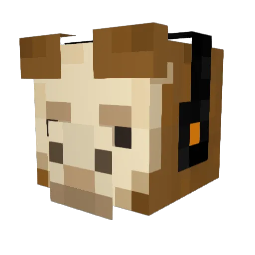xXLlamaplaysXx Minecraft avatar head, 3D render