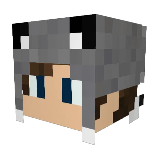 xXLucas_xD Minecraft avatar head, 3D render