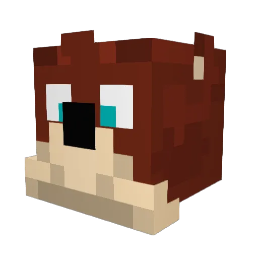 xXMemeMasterXx Minecraft avatar head, 3D render