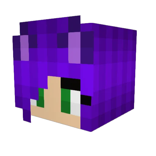 xXMeow_CatXx Minecraft avatar head, 3D render