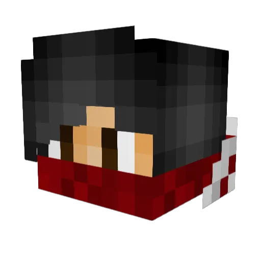 xXMerlo4Xx Minecraft avatar head, 3D render