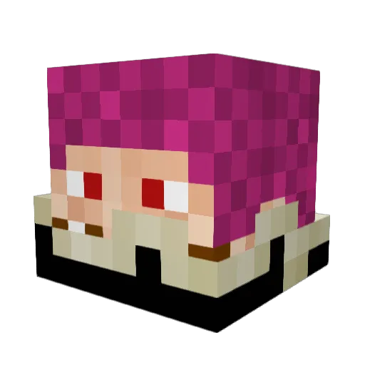 xXMiner_efranXx Minecraft avatar head, 3D render