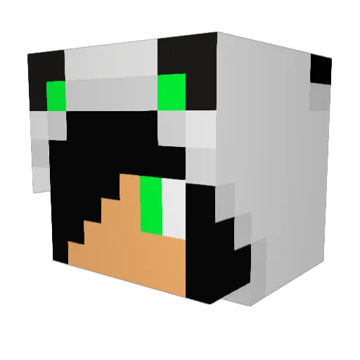 xXMrPandaManXx Minecraft avatar head, 3D render