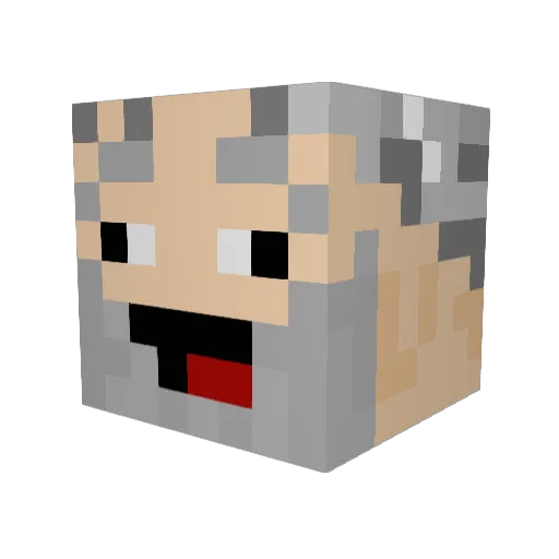 xXN1lssonXx Minecraft avatar head, 3D render