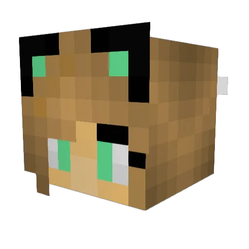 xXNekioXx Minecraft avatar head, 3D render