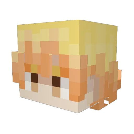 xXNewvanXx Minecraft avatar head, 3D render