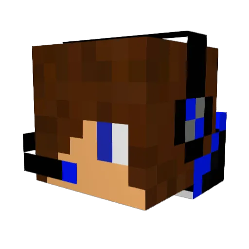xXNiceNightXx Minecraft avatar head, 3D render