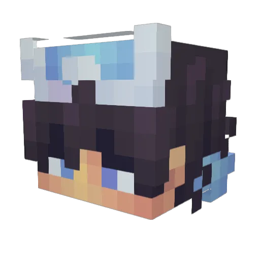 xXNinjaBrixXx Minecraft avatar head, 3D render