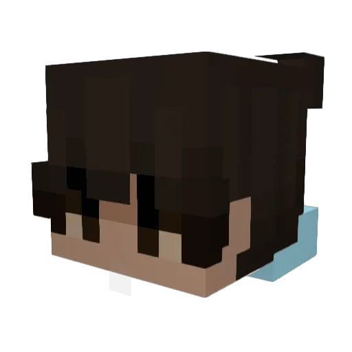 xXNoHypeXx7 Minecraft avatar head, 3D render