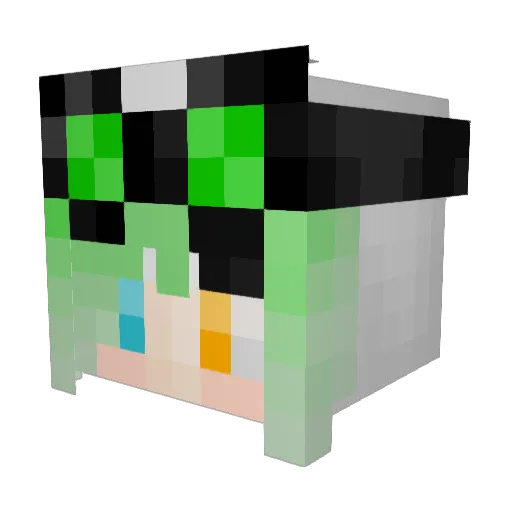 xXNowaXx Minecraft avatar head, 3D render