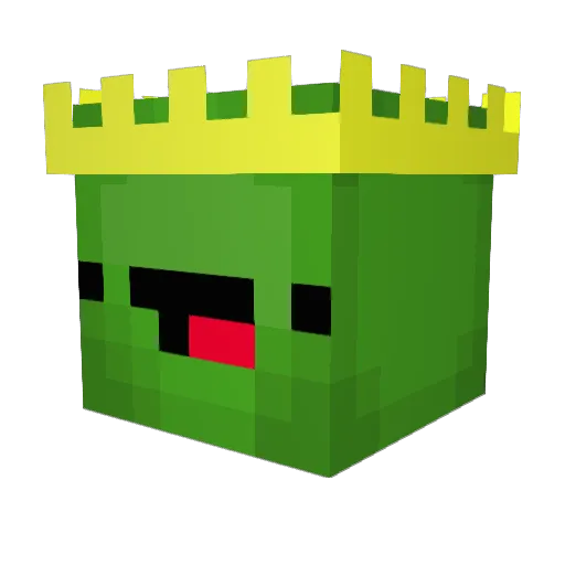 xXOPPWNERXx Minecraft avatar head, 3D render