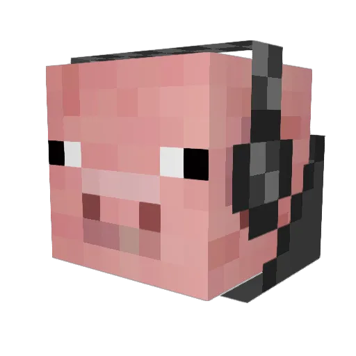 xXPIGonFIREXx Minecraft avatar head, 3D render