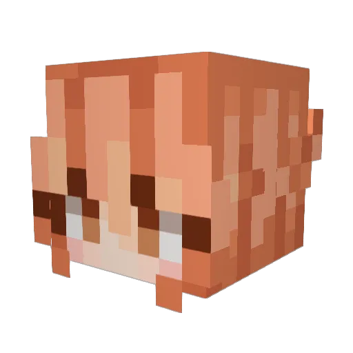 xXPaRaDiiZZ Minecraft avatar head, 3D render