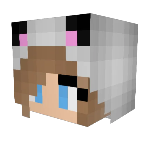 xXPandii_PVPXx Minecraft avatar head, 3D render