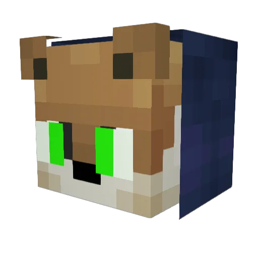 xXPhoenix_HDXx Minecraft avatar head, 3D render
