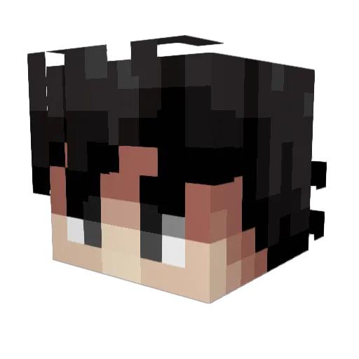 xXPlayer_OneXx Minecraft avatar head, 3D render