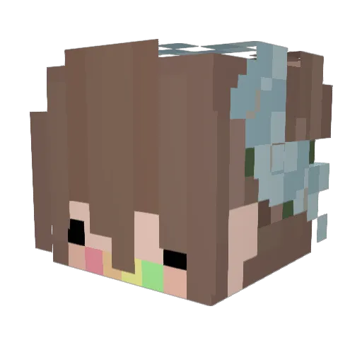 xXPoboPiratXx Minecraft avatar head, 3D render