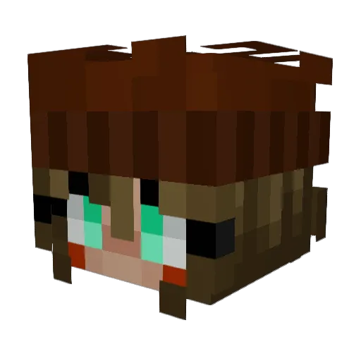xXPokeFanXx Minecraft avatar head, 3D render