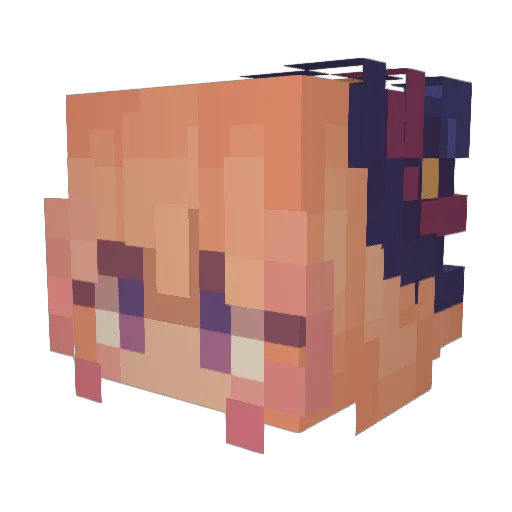 xXPopeFrancis64 Minecraft avatar head, 3D render
