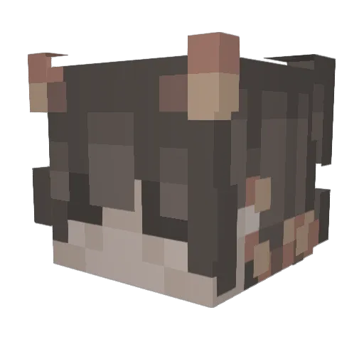 xXPotatoHoomanXx Minecraft avatar head, 3D render