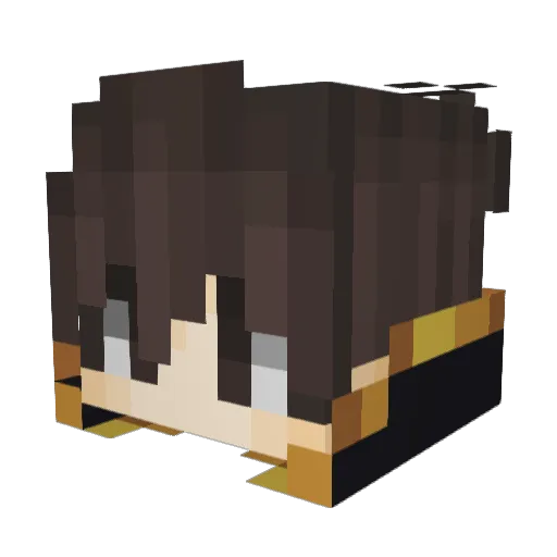 xXRavenKingXx Minecraft avatar head, 3D render