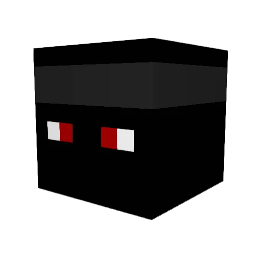 xXRedneckNinjaXx Minecraft avatar head, 3D render